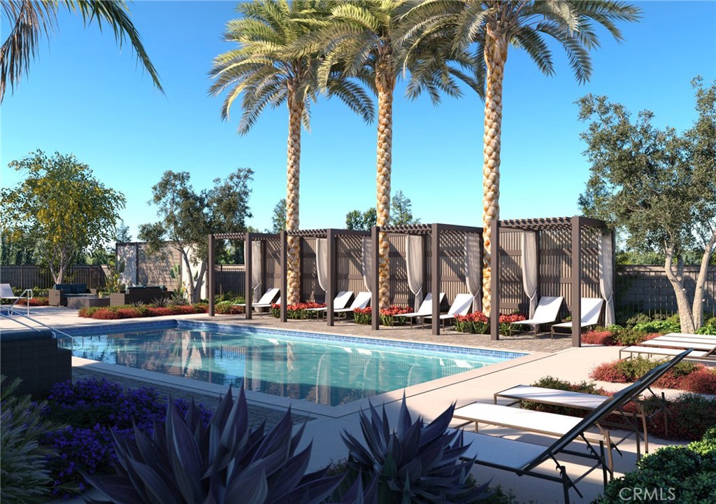 a view of swimming pool with chairs and palm tree