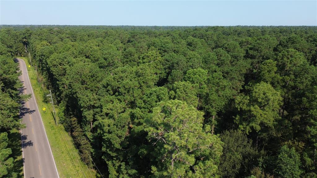 a view of a forest with a houses