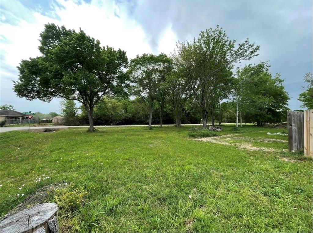 a view of yard with green space