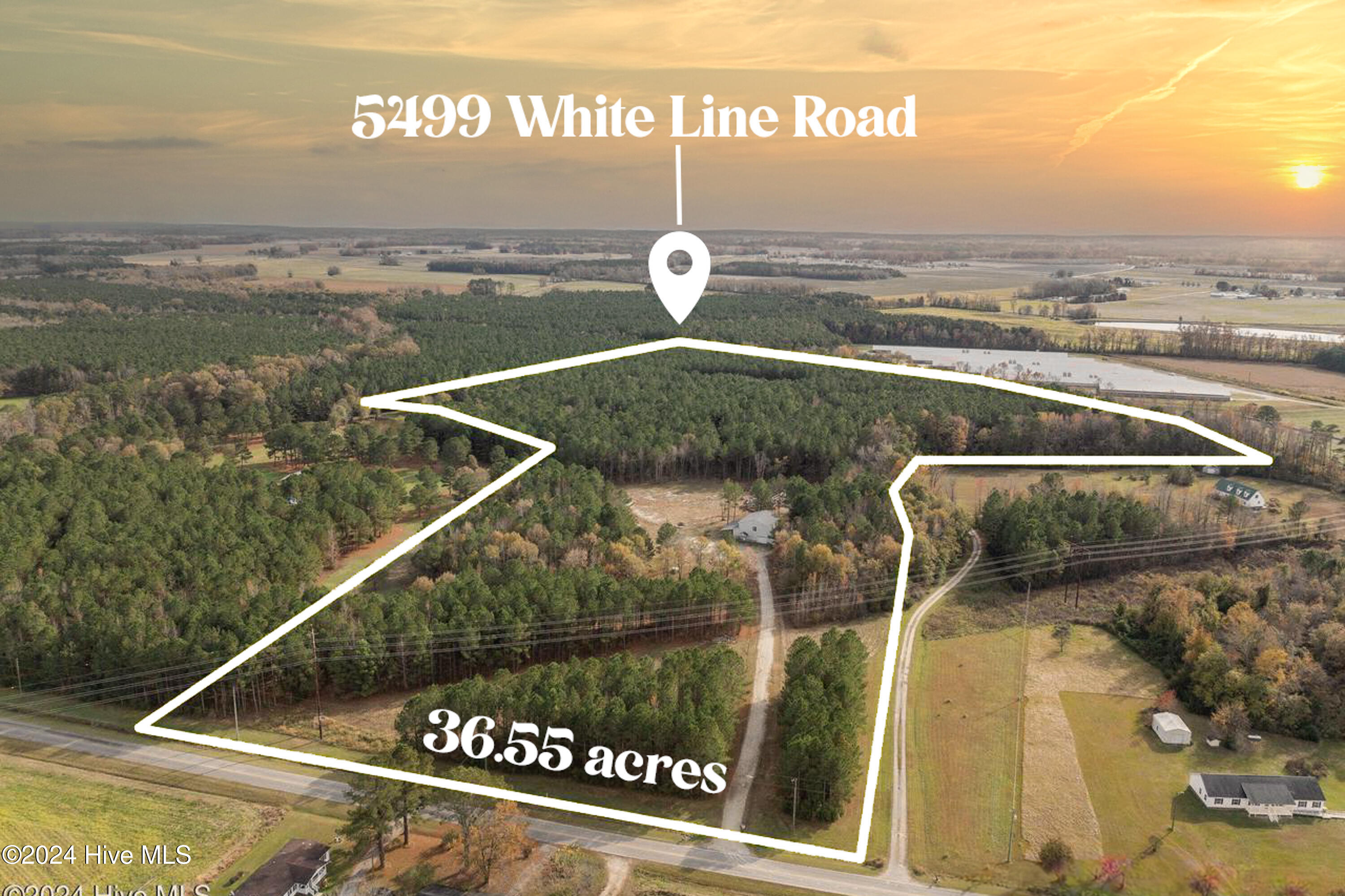 5499 White Line Road