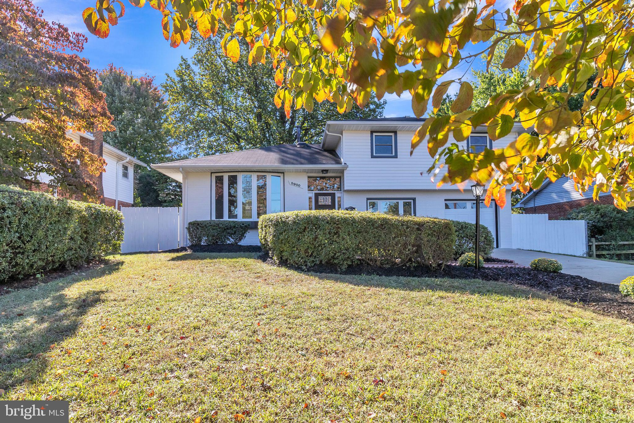 a view of a house with a tree in the yard