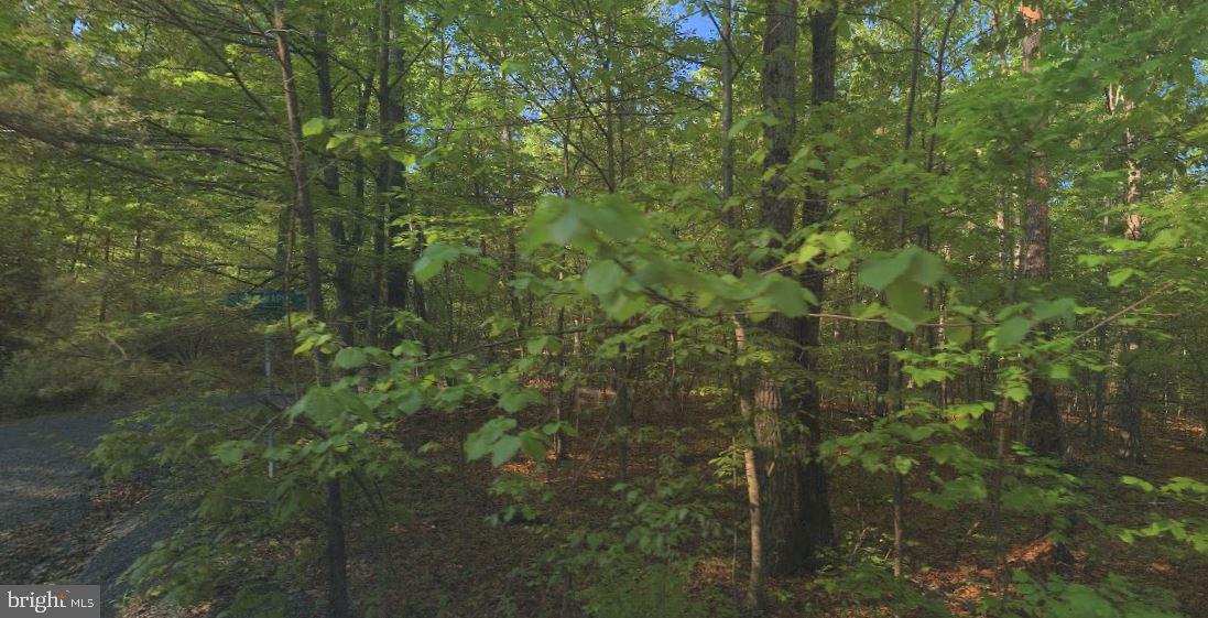 a view of a forest of a house