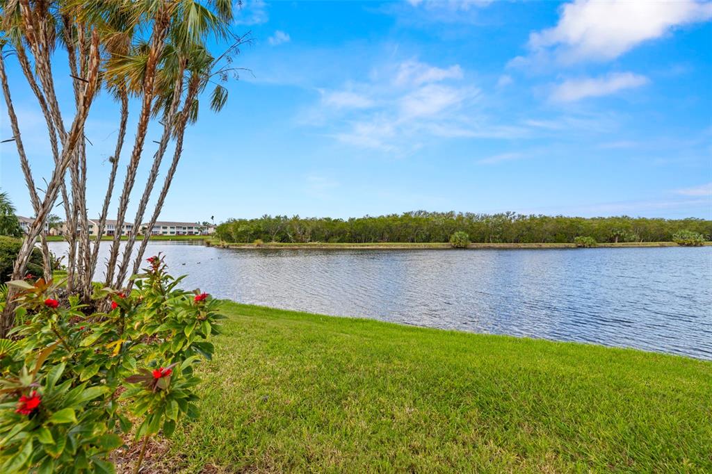 a view of a lake with houses in the back