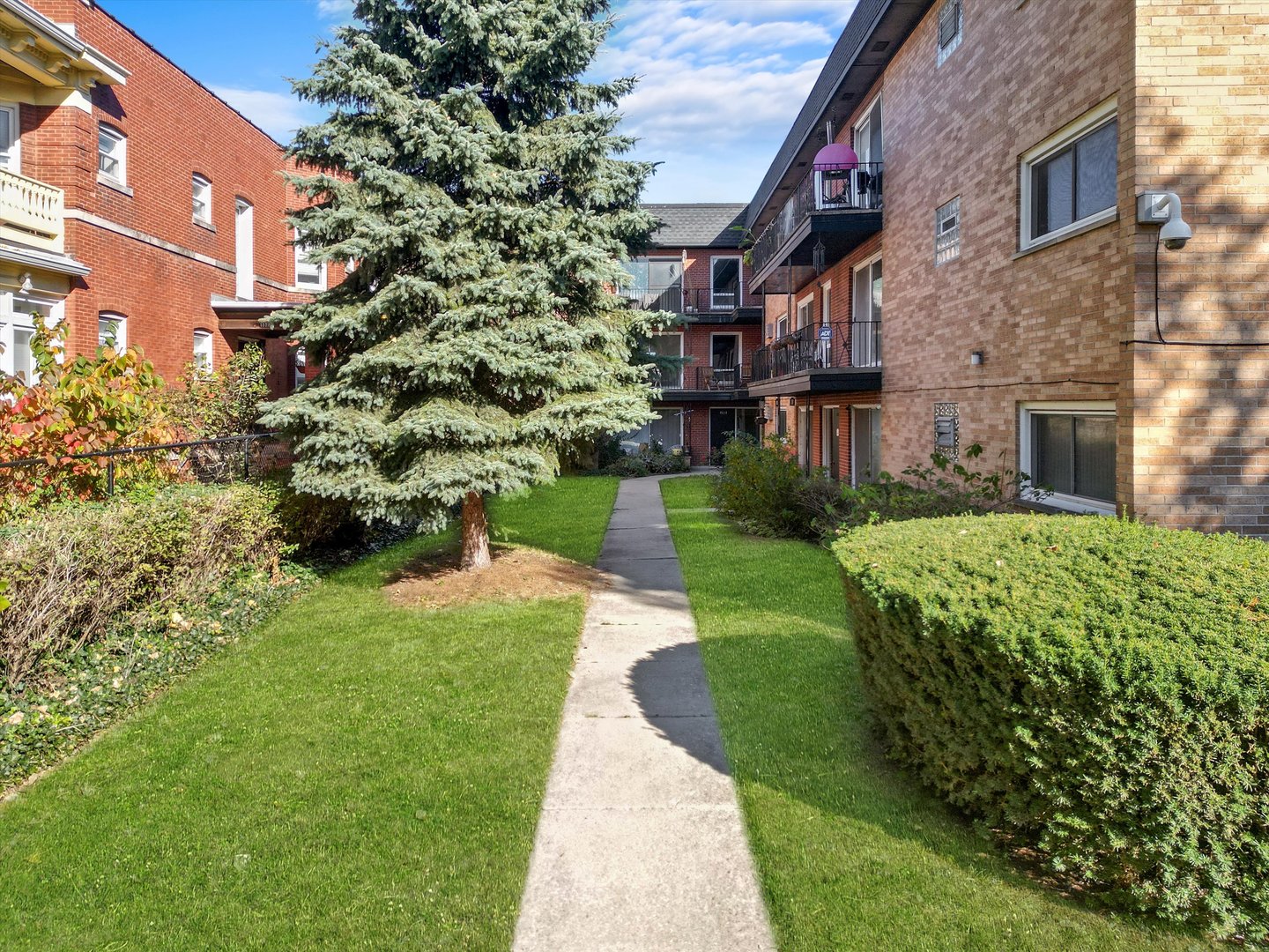 a view of a garden with a building