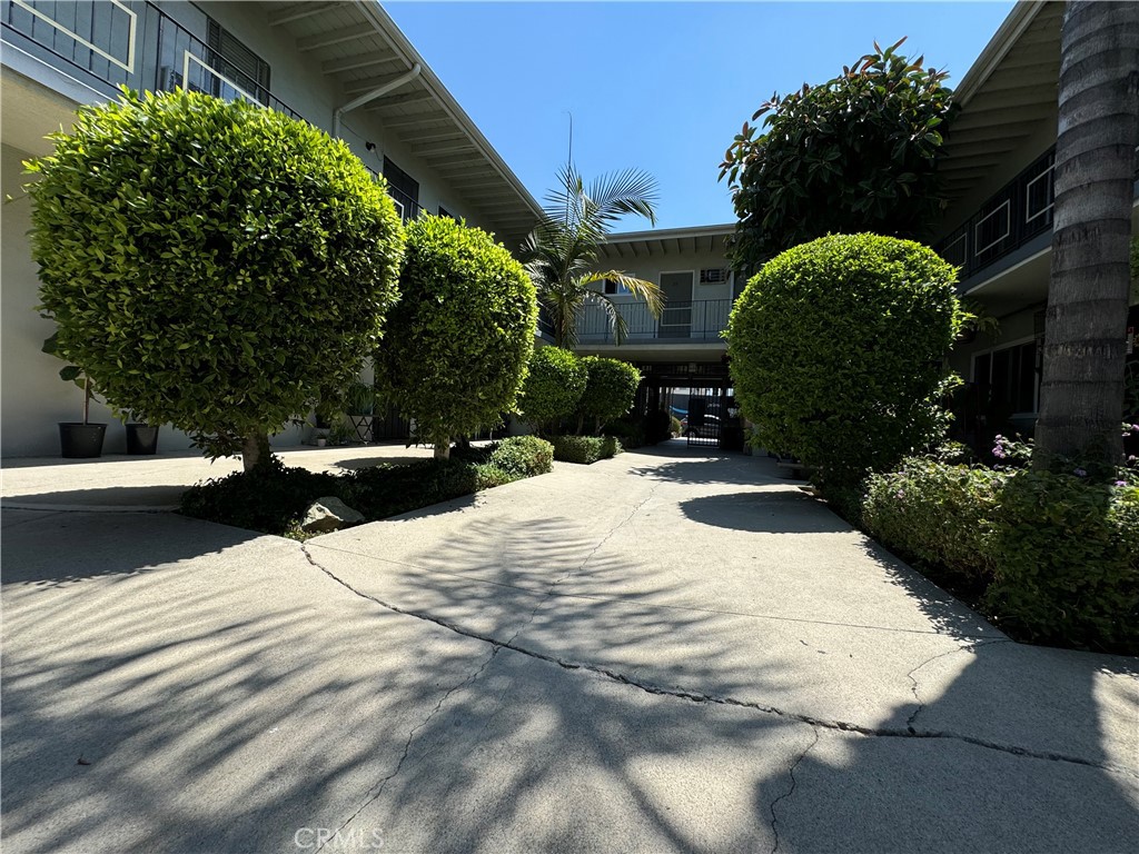 a view of outdoor space yard and patio