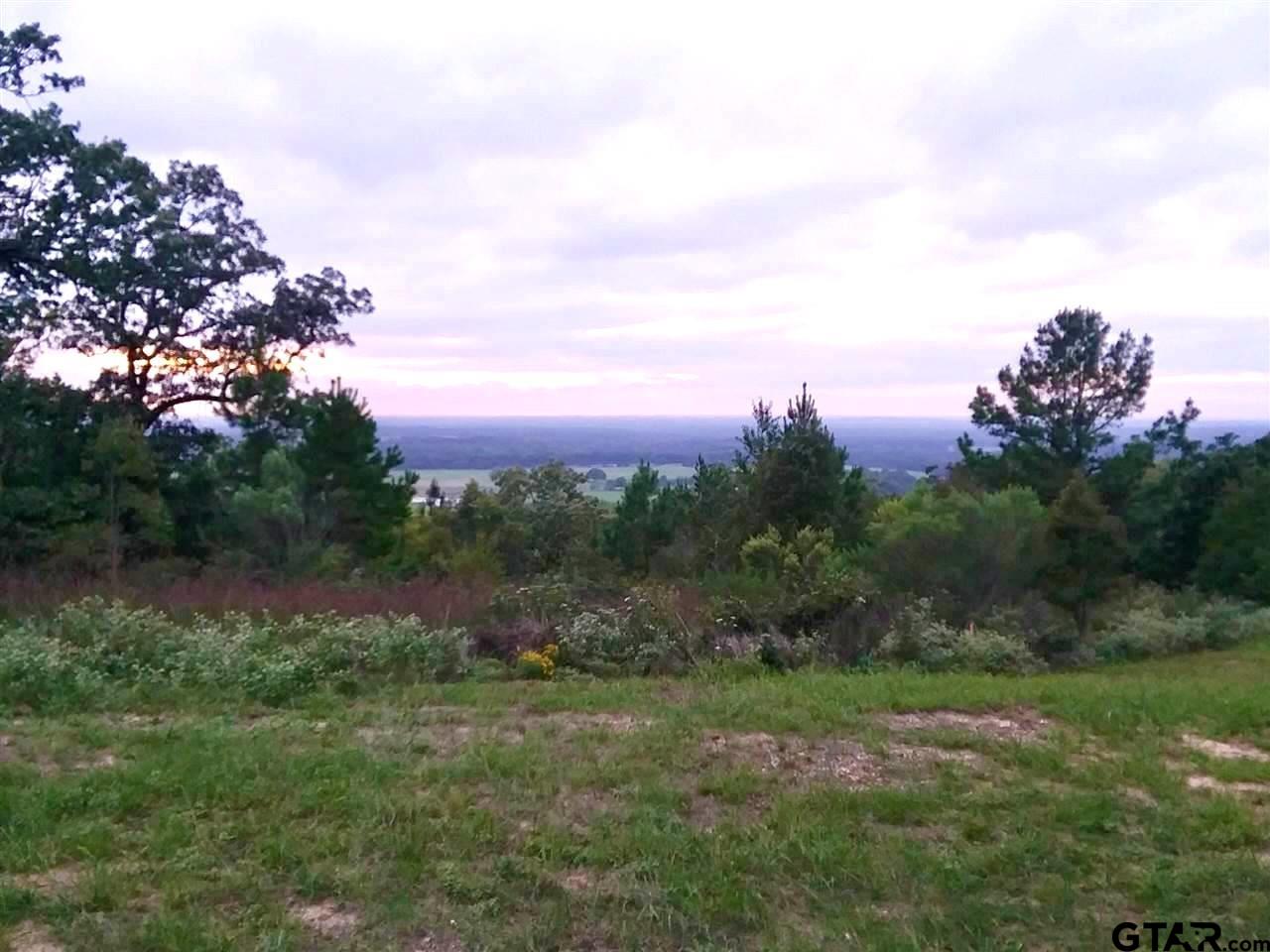 a view of a lake with a city