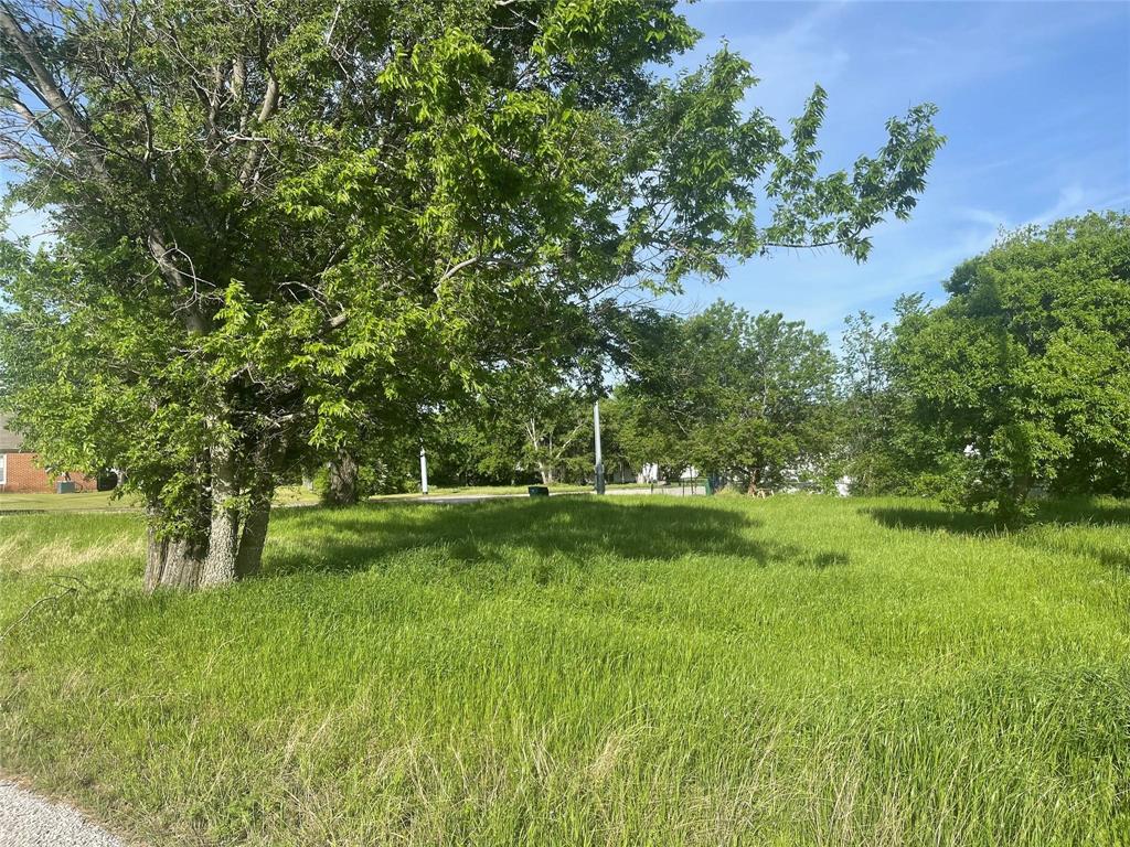 a view of yard with green space