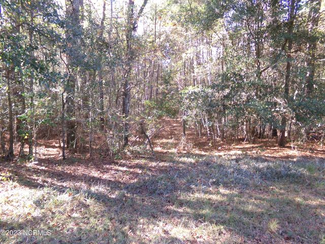 $27,000 | 242 Murphy Lane | Ransom Township - Columbus County