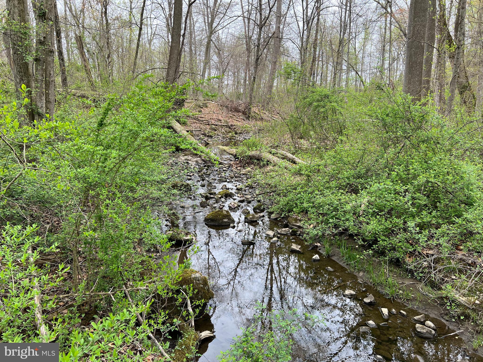 Creek View