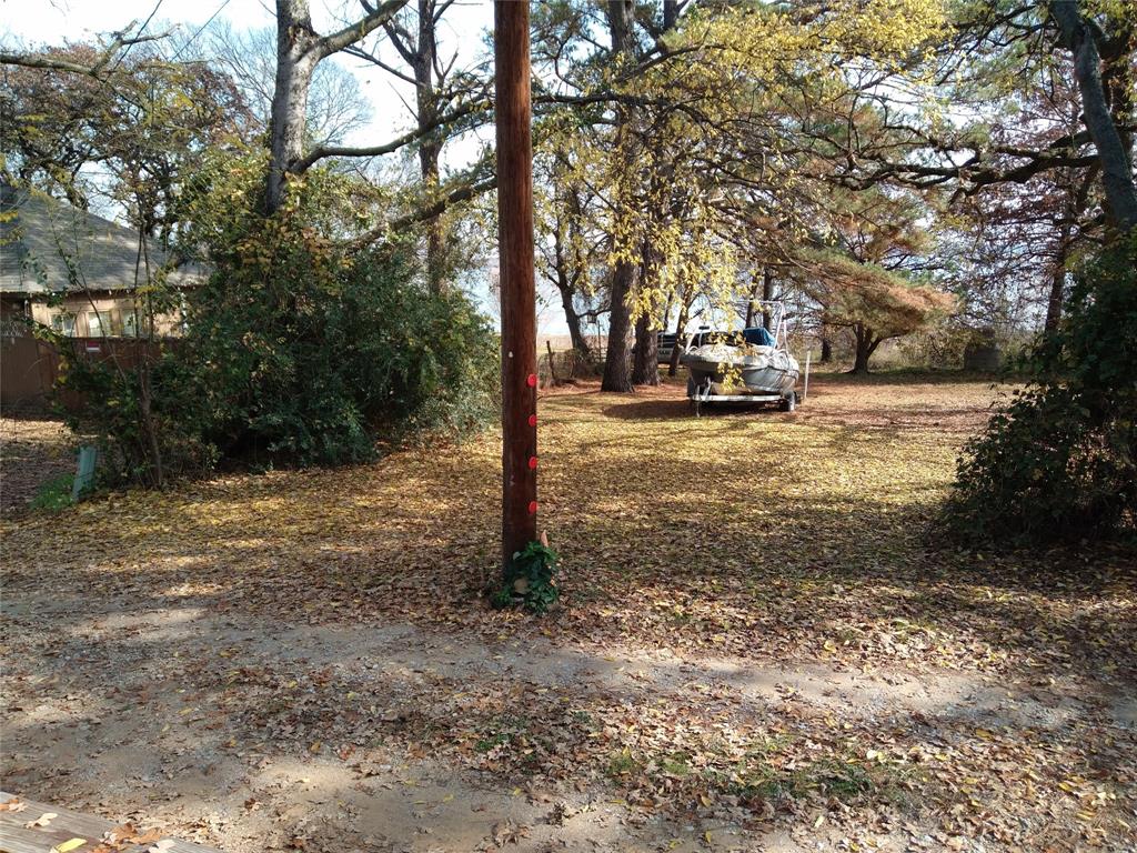 a view of a yard with plants and trees