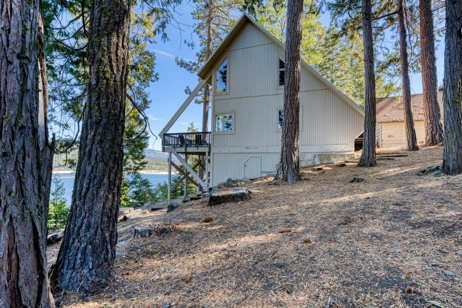 a view of a house with a tree in the yard