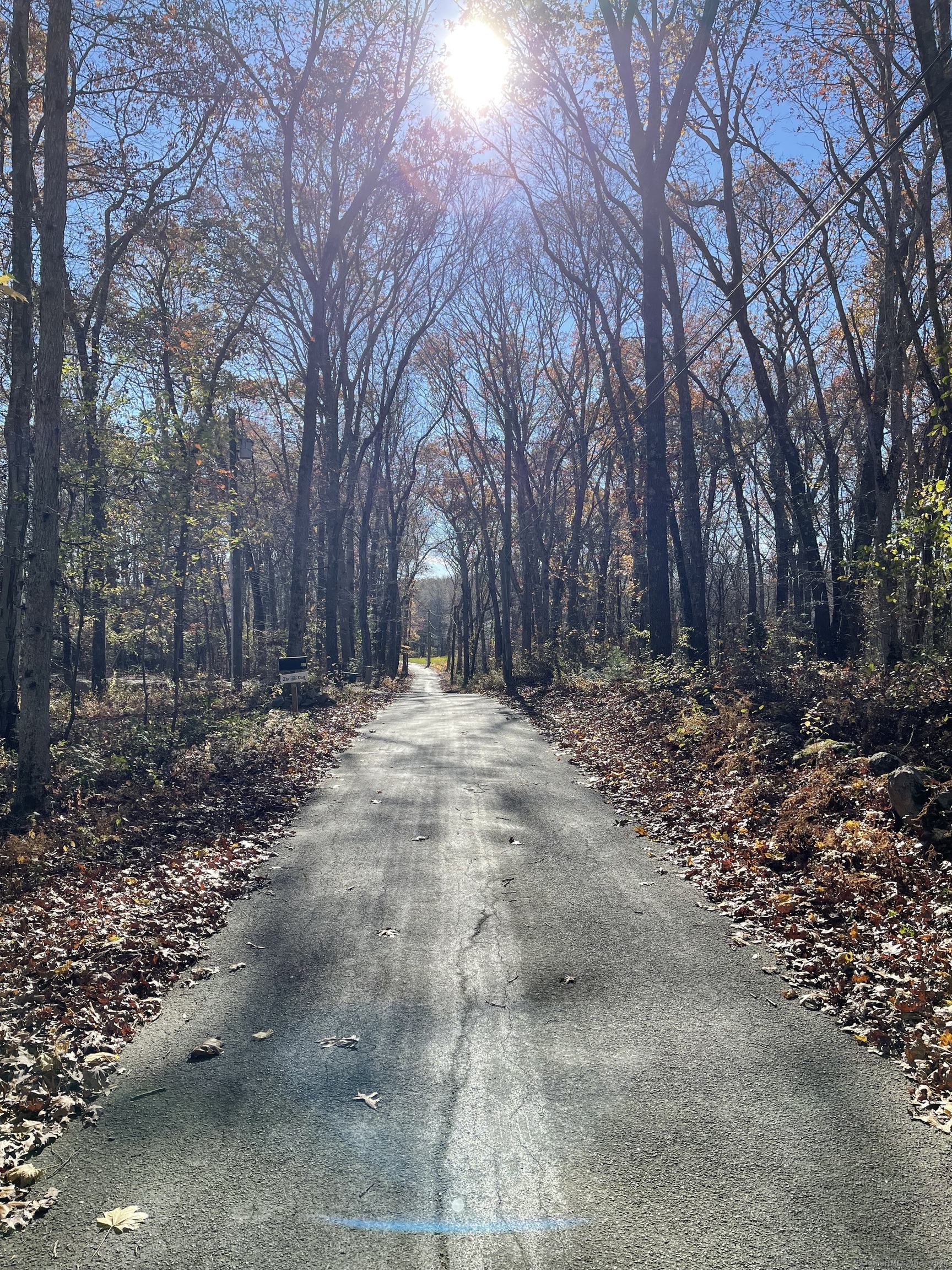 a view of road with trees