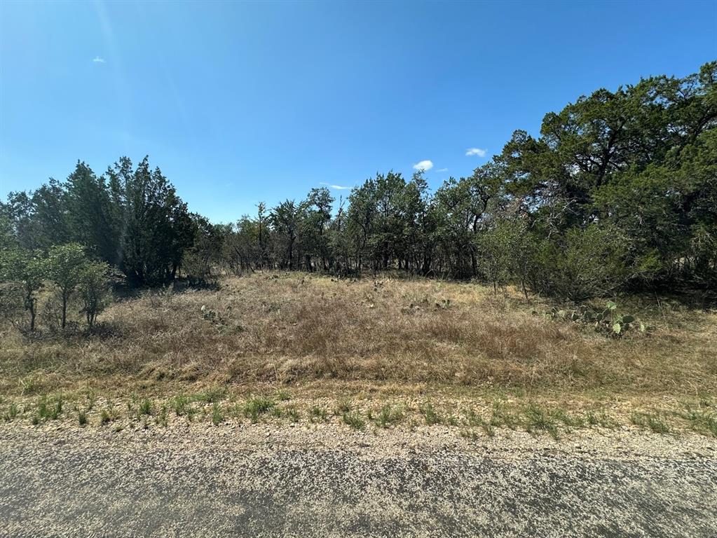 a view of a field with trees in the background