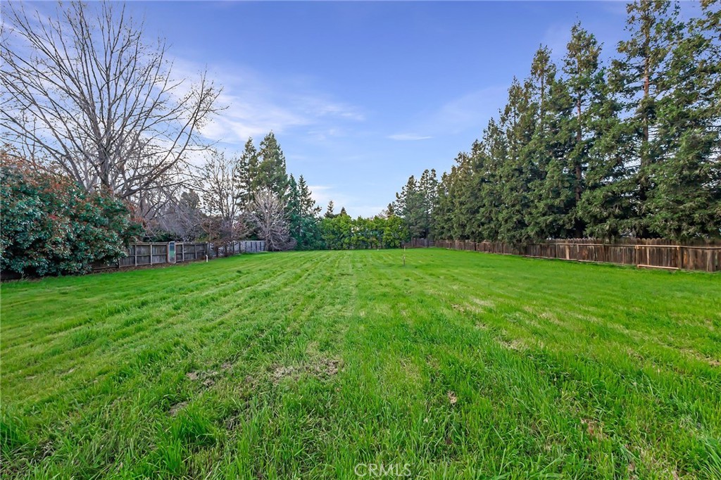 a view of a field of grass and trees