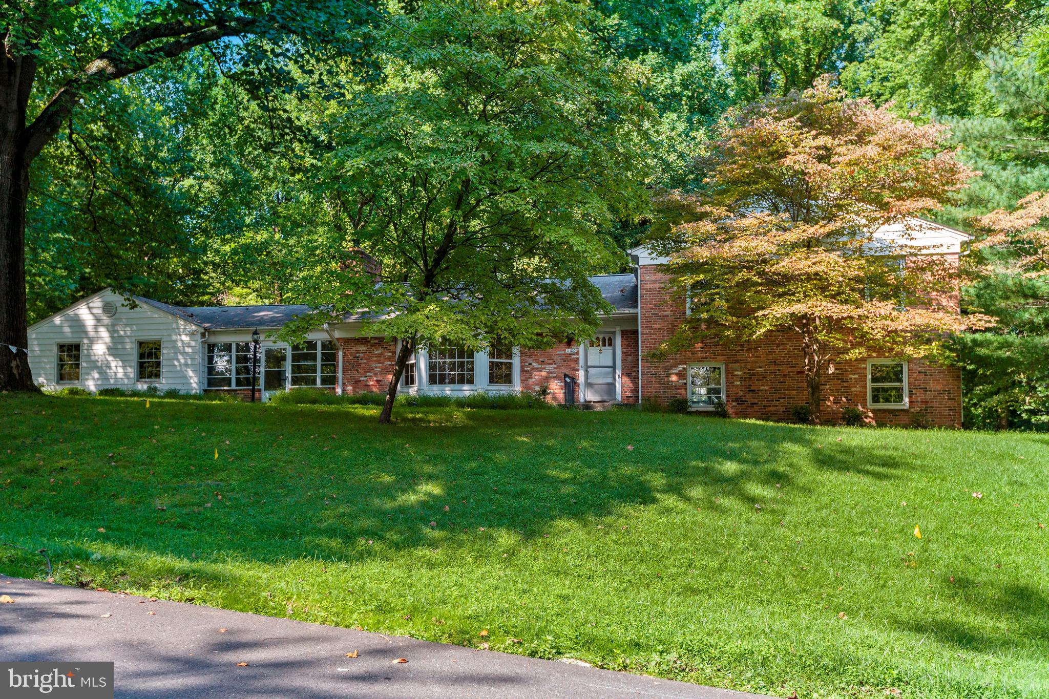 a view of a big yard with plants and large trees