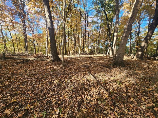 $14,500 | Lot 1783-84 Blueberry Drive | Roberts Township - Marshall County