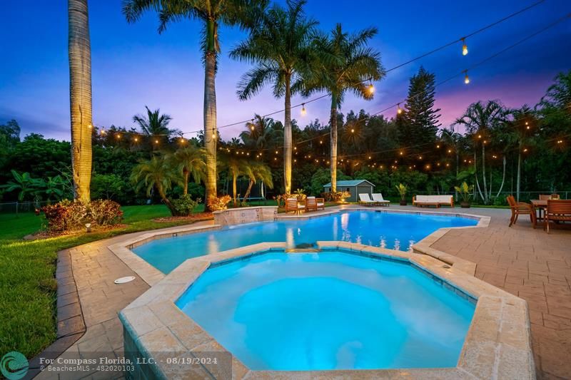 a view of a swimming pool with a patio and palm trees