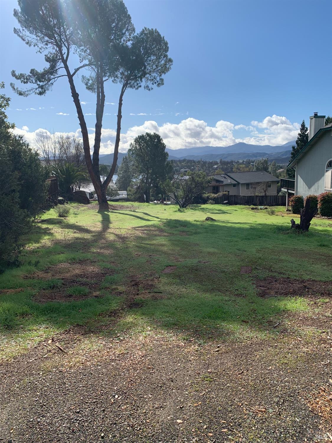 a view of a big yard with large trees