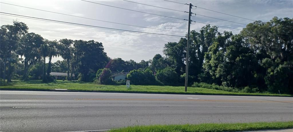 a view of a yard in front of a house