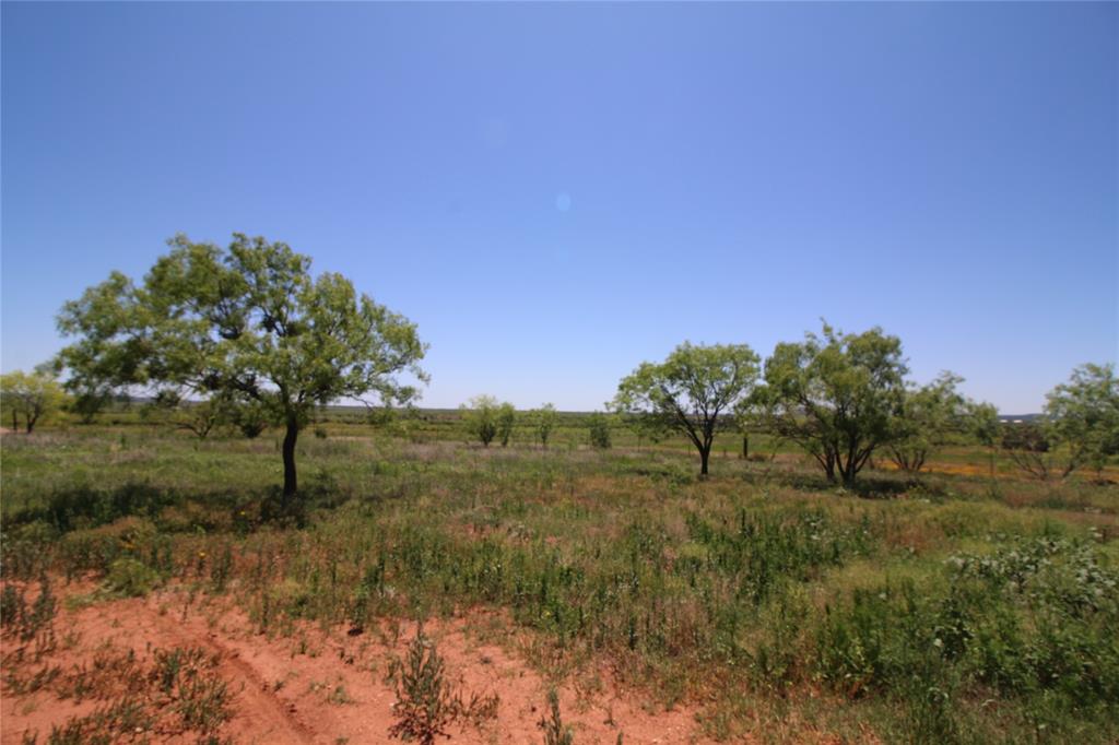 a view of garden