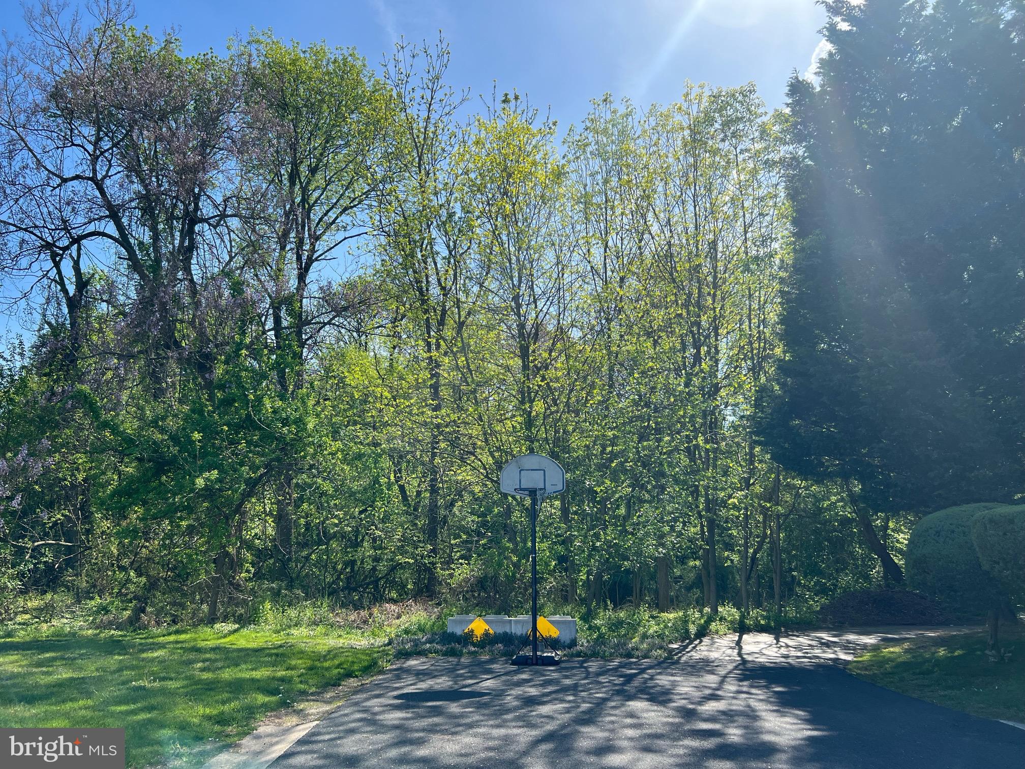 a view of a green field with trees