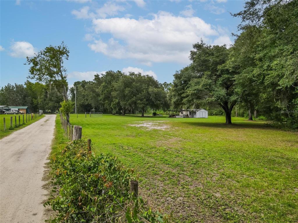 a view of a field with an trees