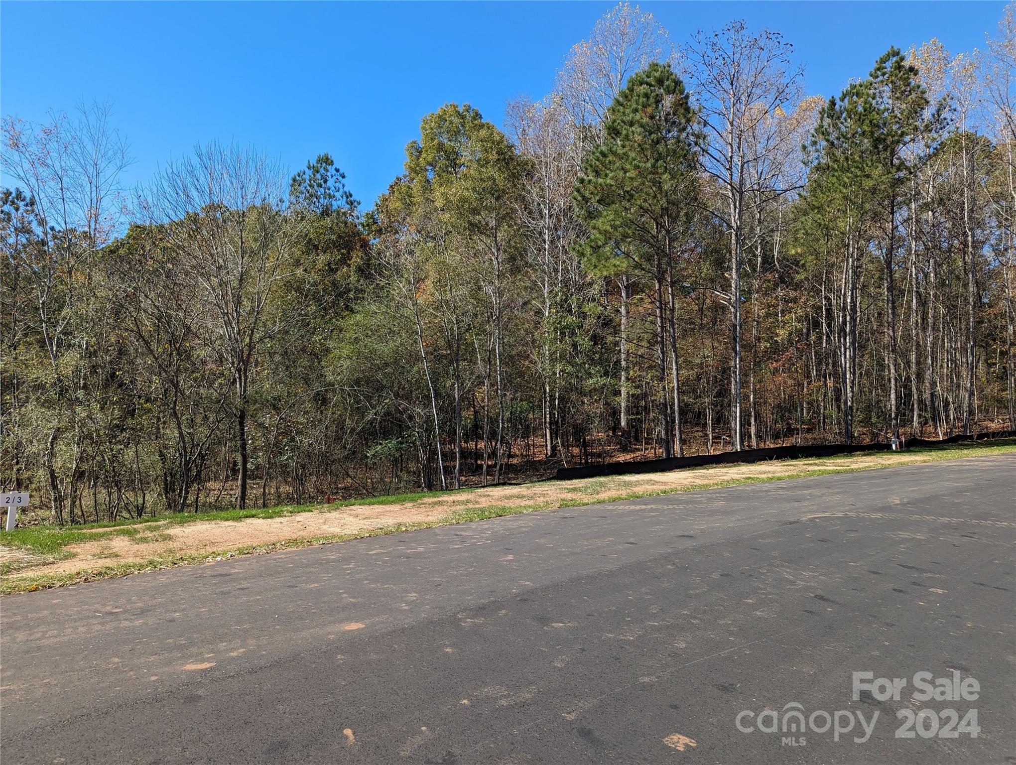 a view of large trees with a big yard