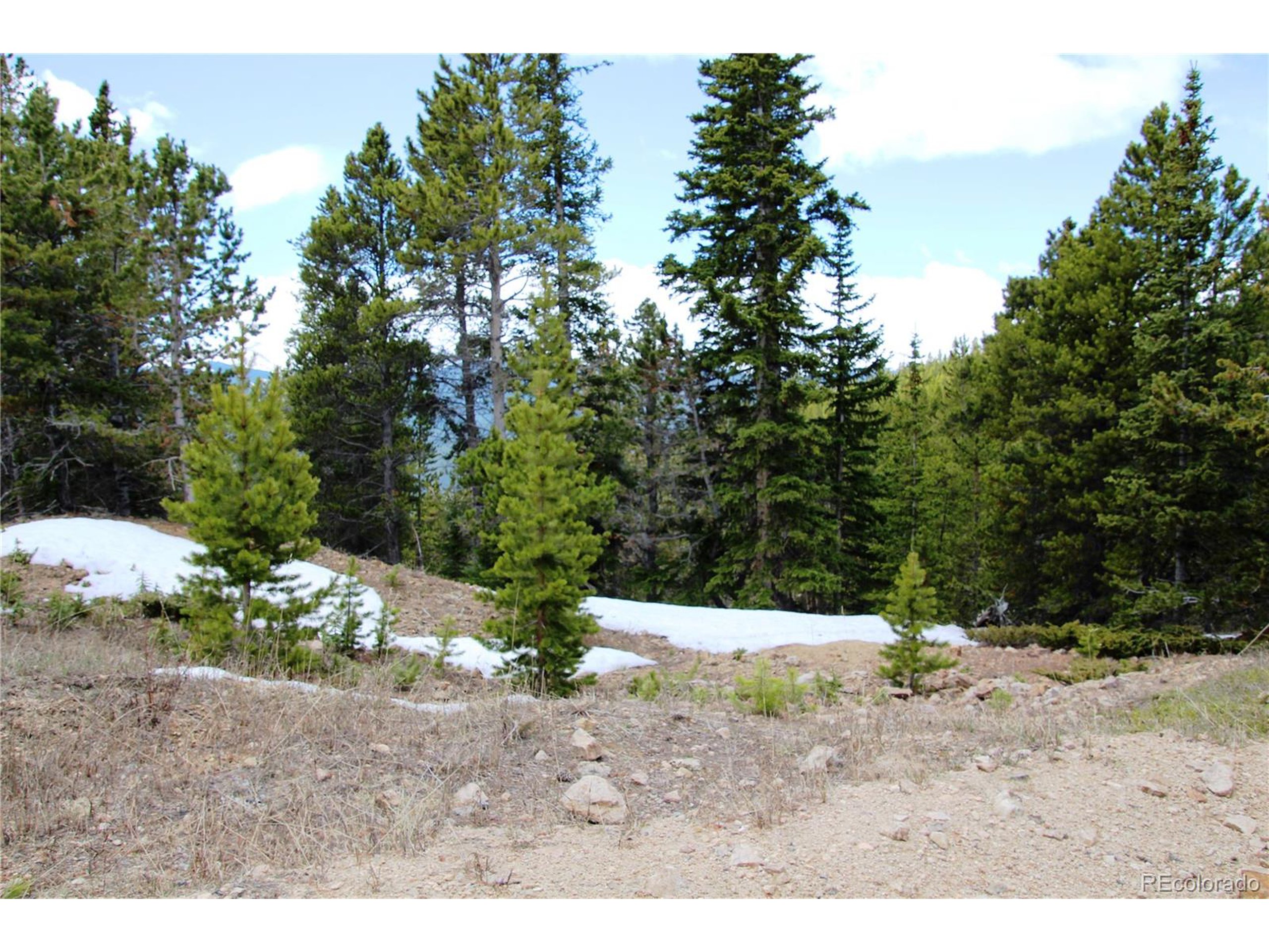 a view of a dirt road with trees in the background