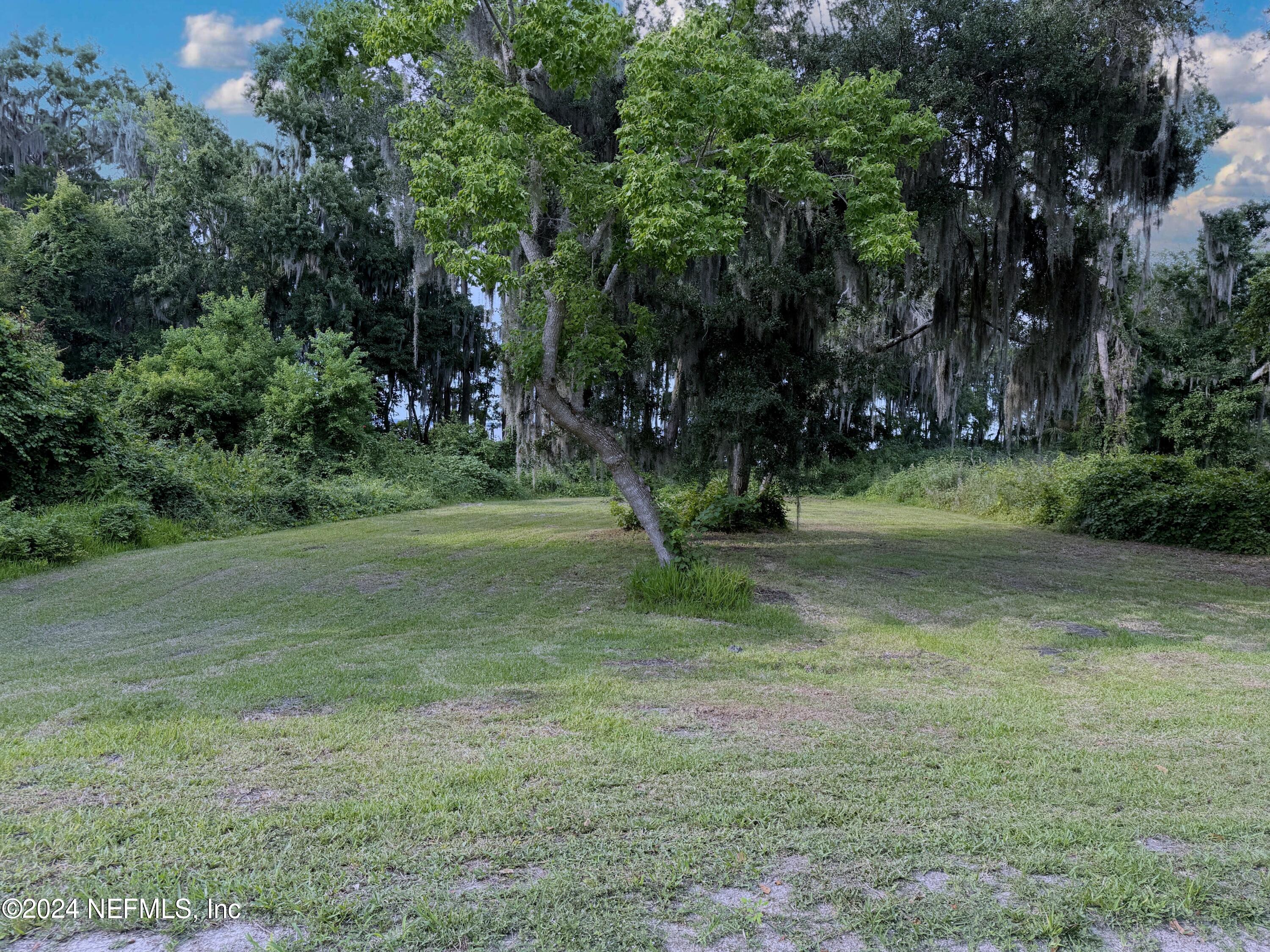 a view of a tree in a yard