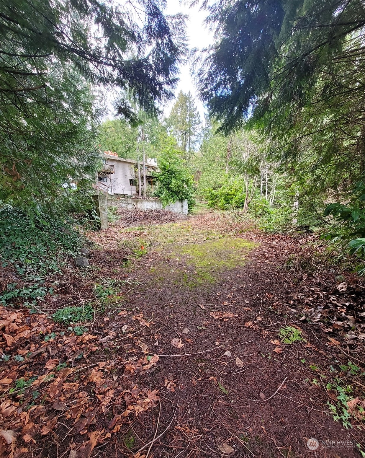 a backyard of a house with lots of green space