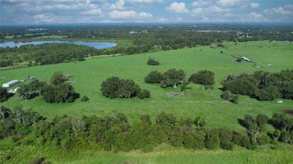 a view of a lush green space