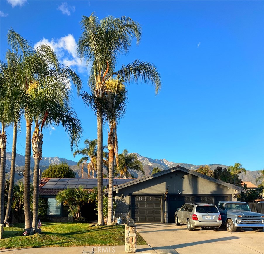 a view of a street with palm trees