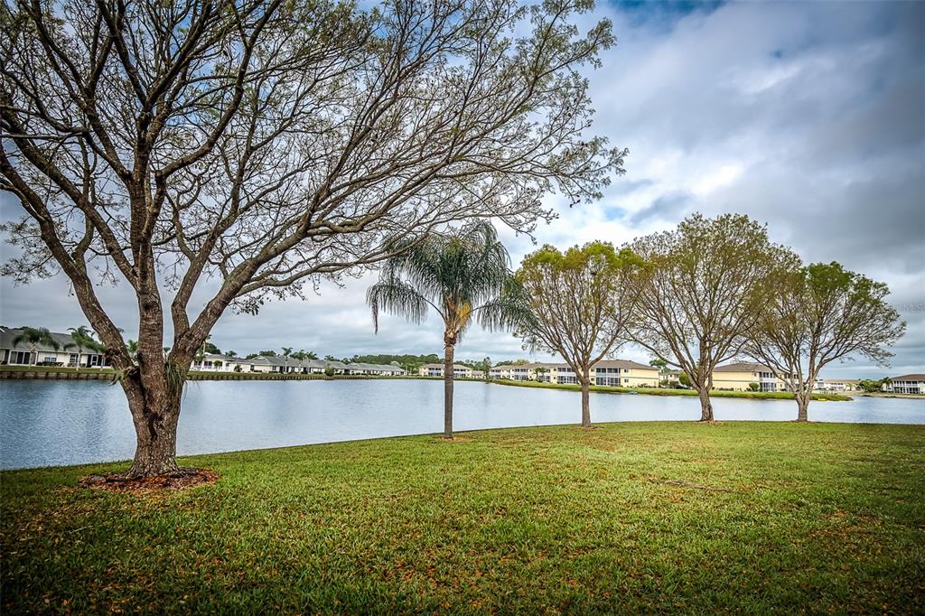 a view of lake with tree