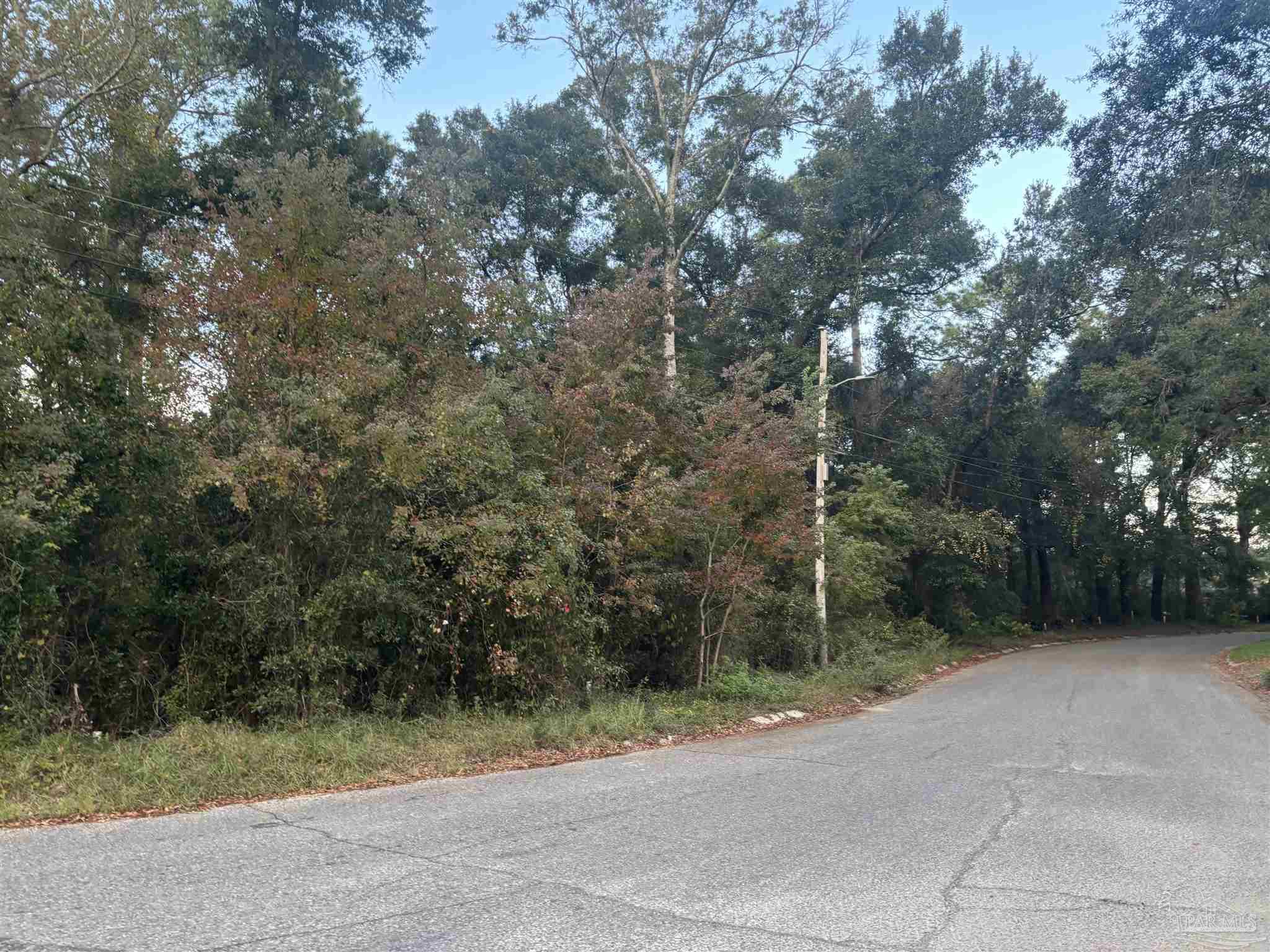 a view of a road with a trees