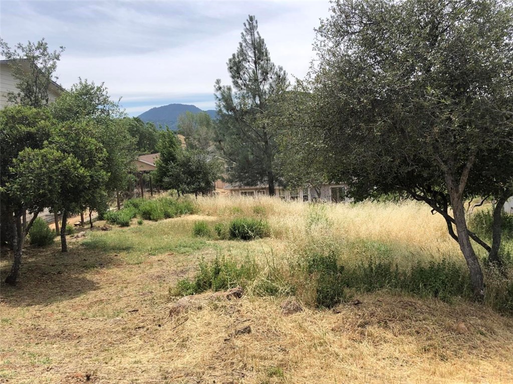 a view of a yard with a tree