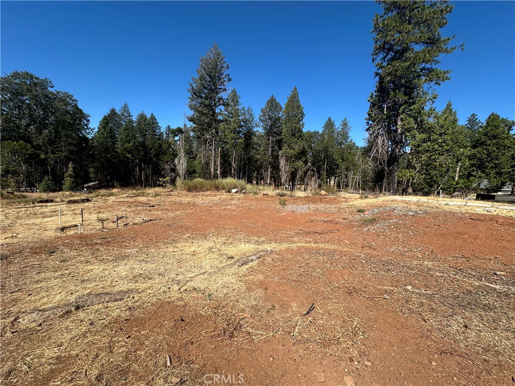 a view of empty space with trees