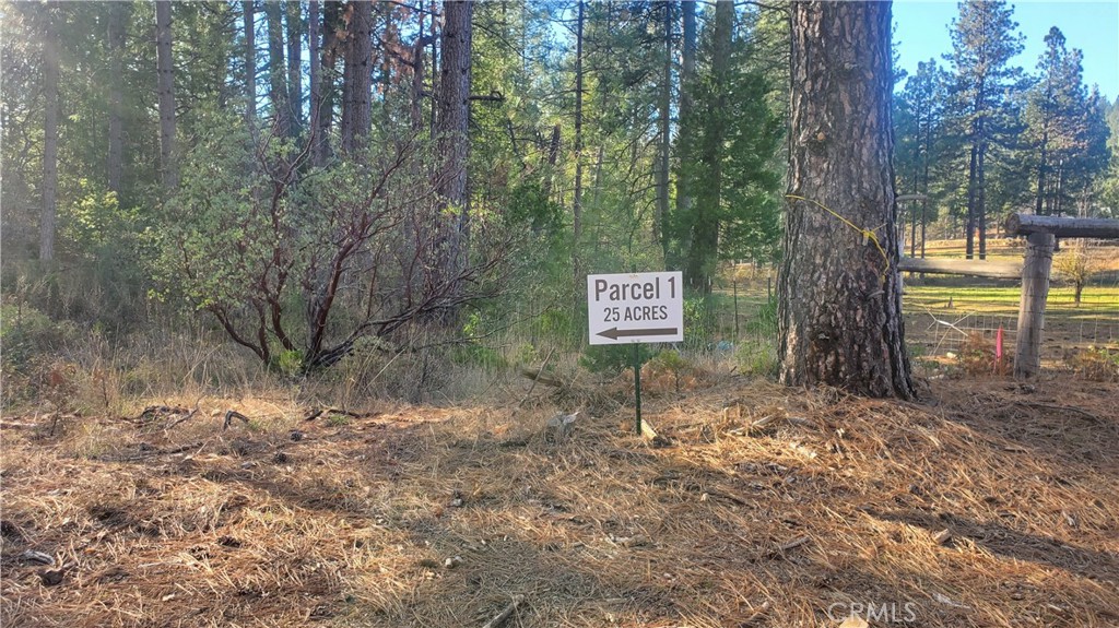 a view of outdoor space with lots of trees