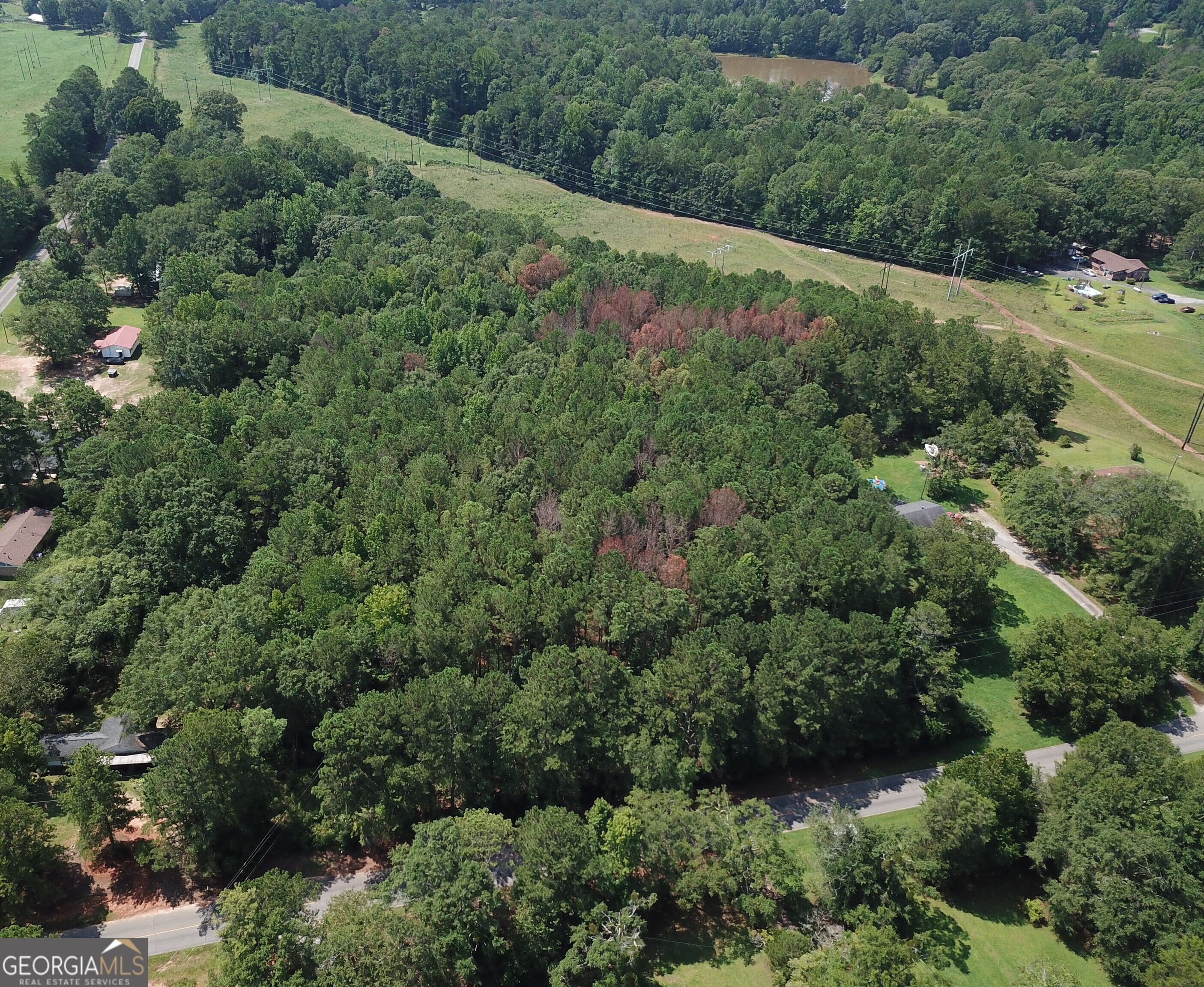 an aerial view of a forest with houses