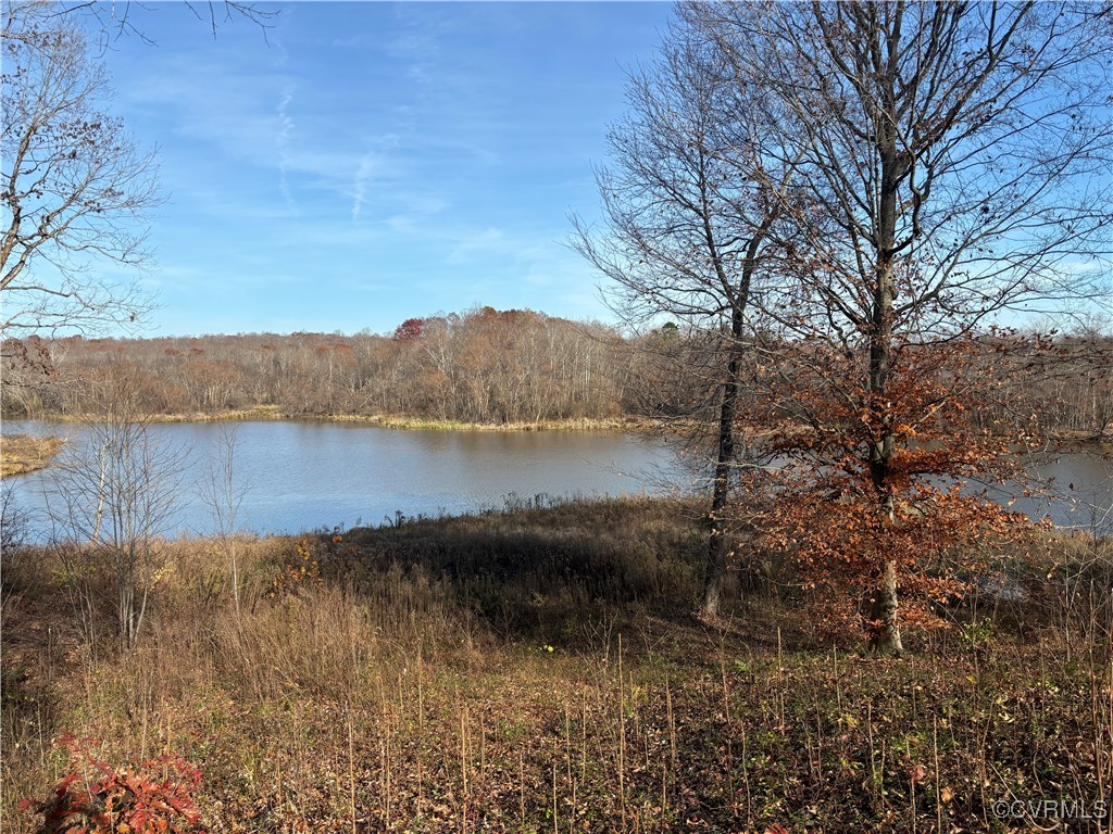 a view of a lake with a mountain in the background