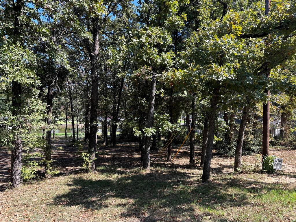 a view of backyard with green space