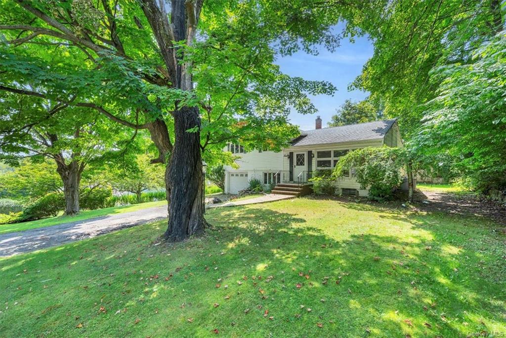 a view of a house with backyard and a tree