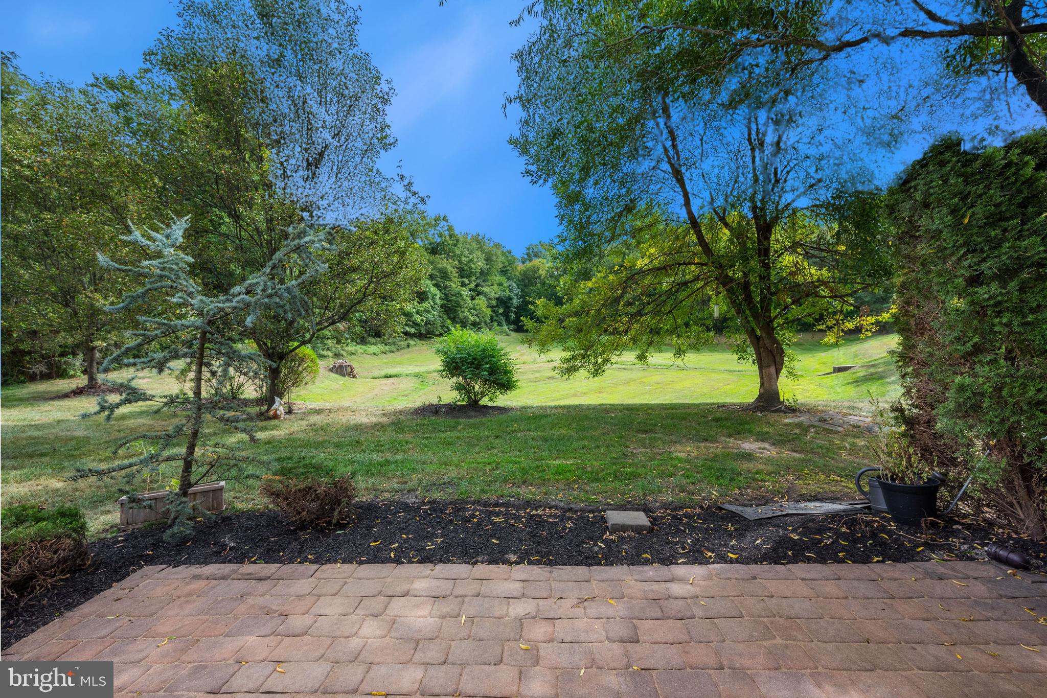 a view of a yard with plants and a trees