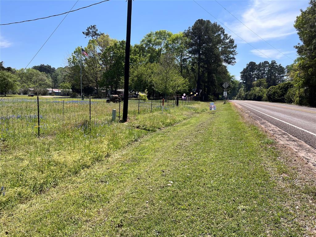 a view of a field with trees