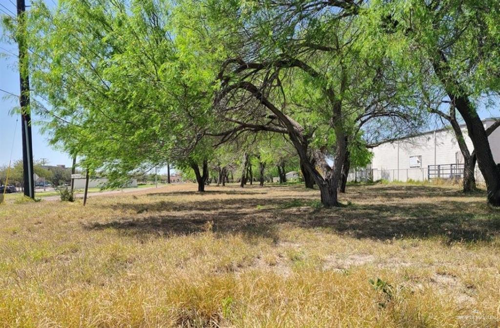 a view of a yard with trees