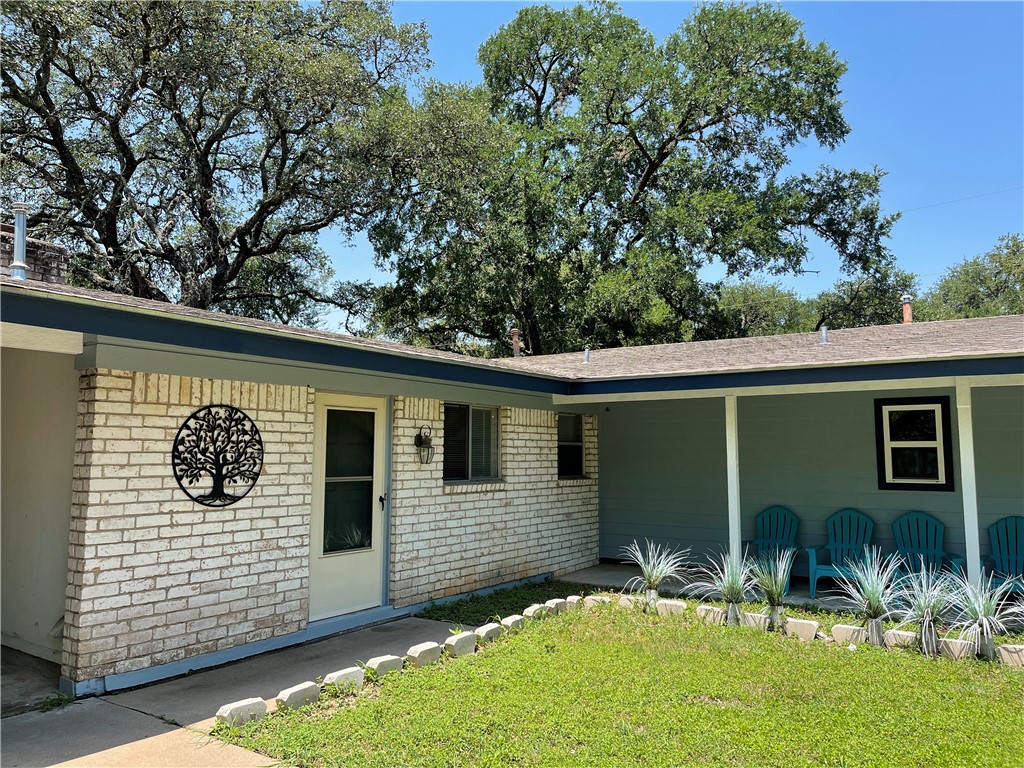 a view of a backyard with plants and a large tree