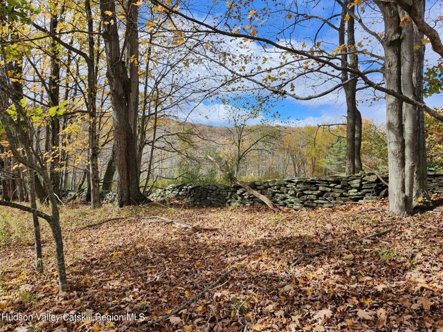 $75,000 | Tbd Dimmick Mountain Road | Middletown Town