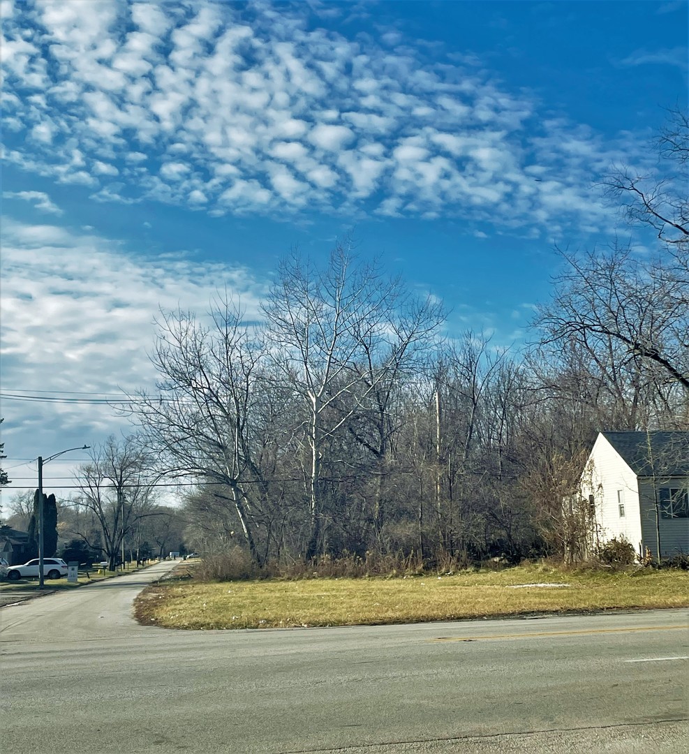 a view of a yard with large trees