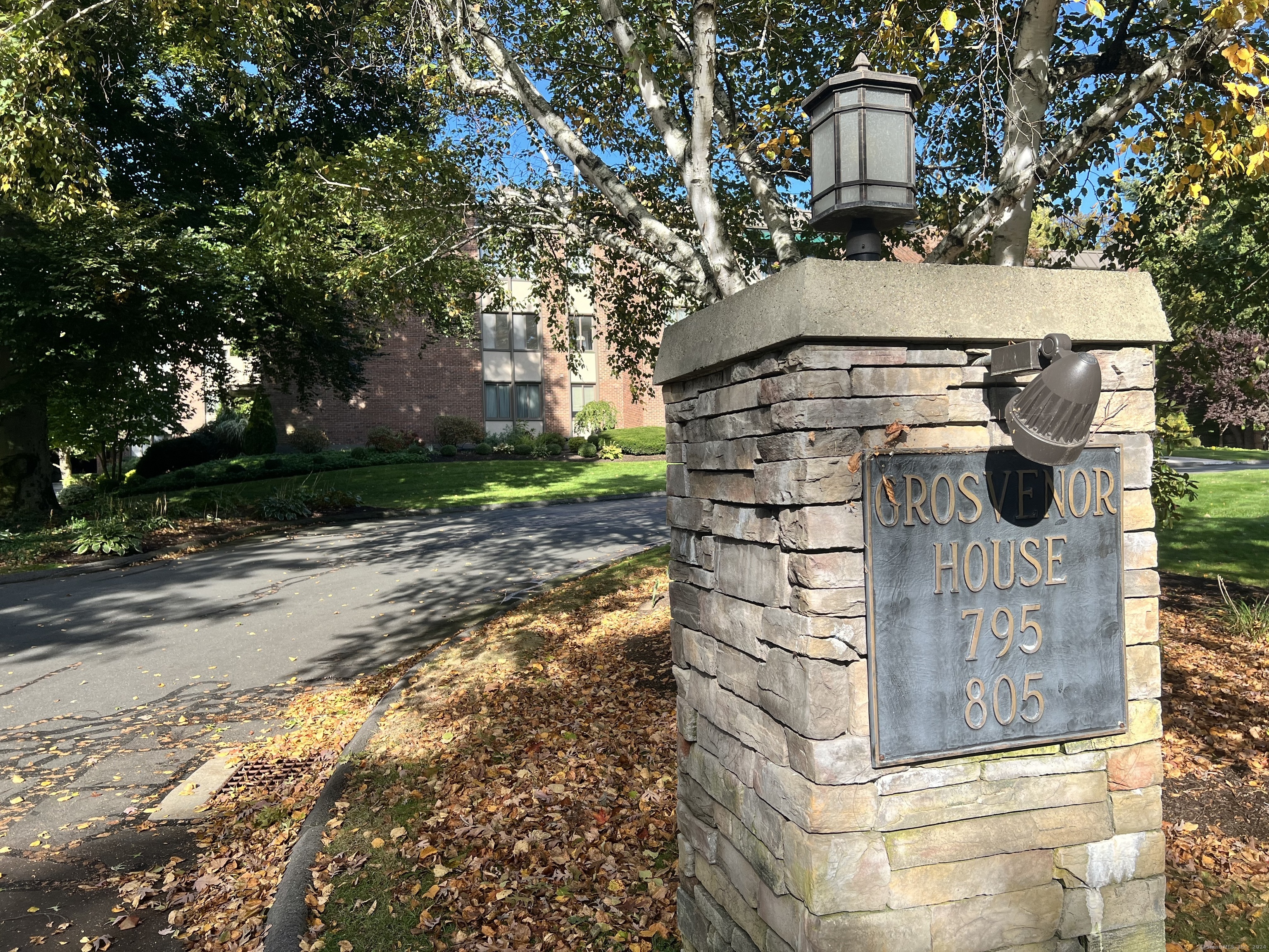 a view of a water fountain in the backyard