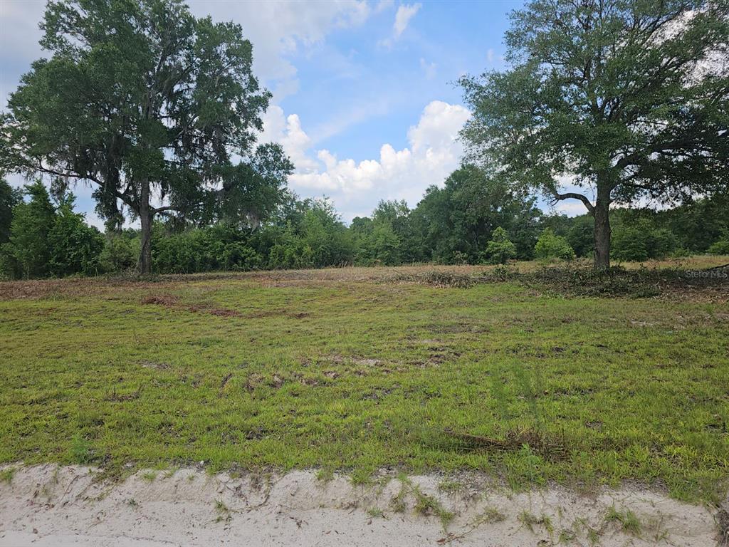 a view of a field with an trees