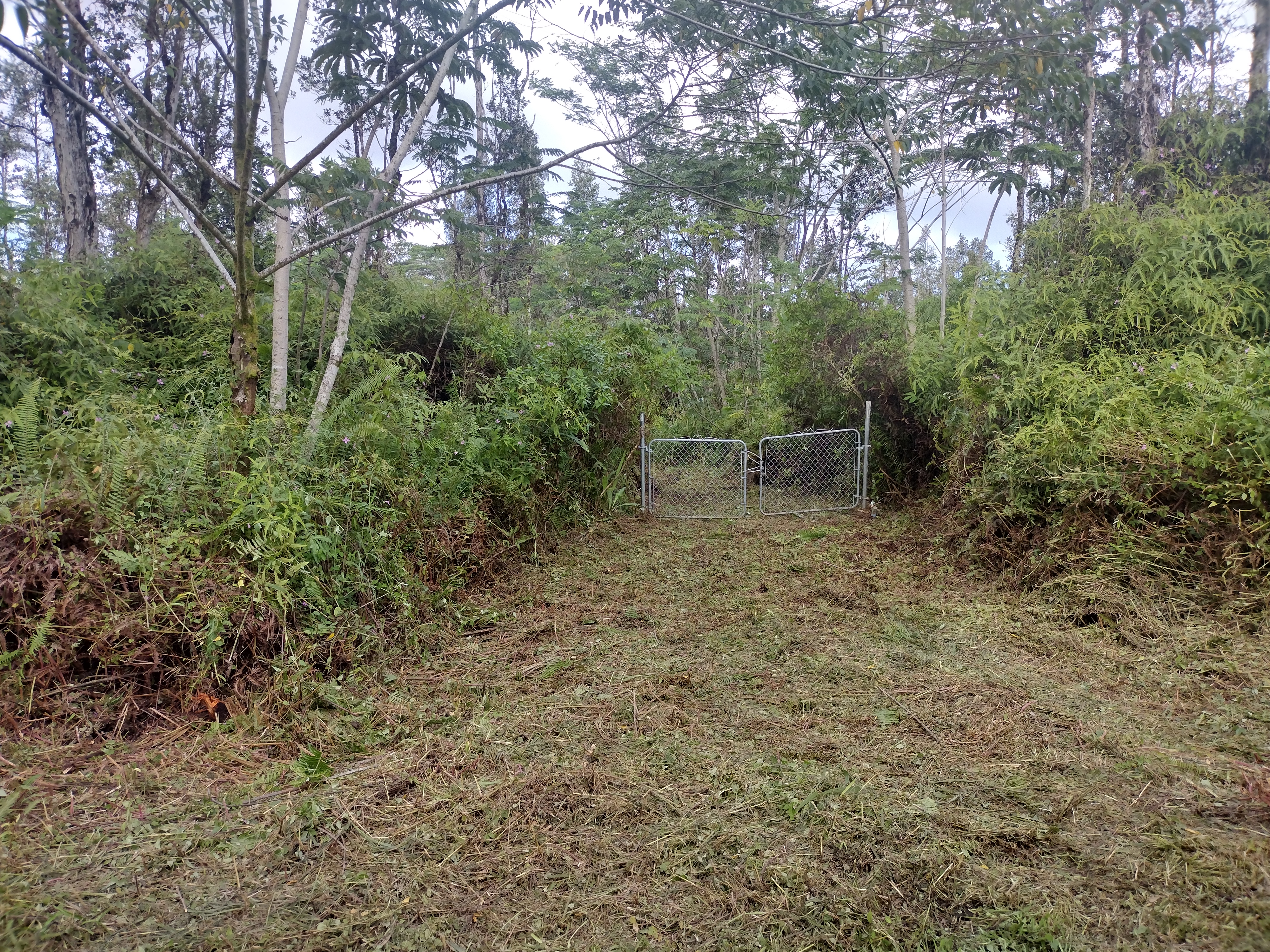 a backyard of a house